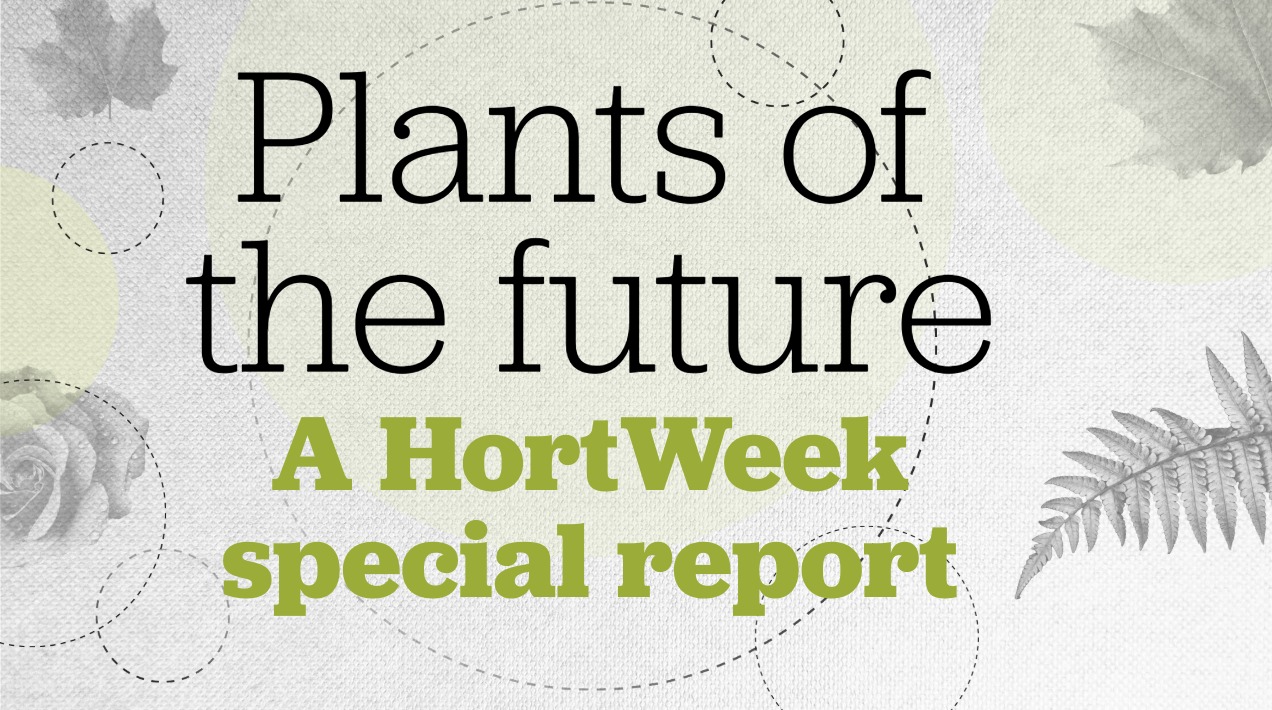 Plants of the future report